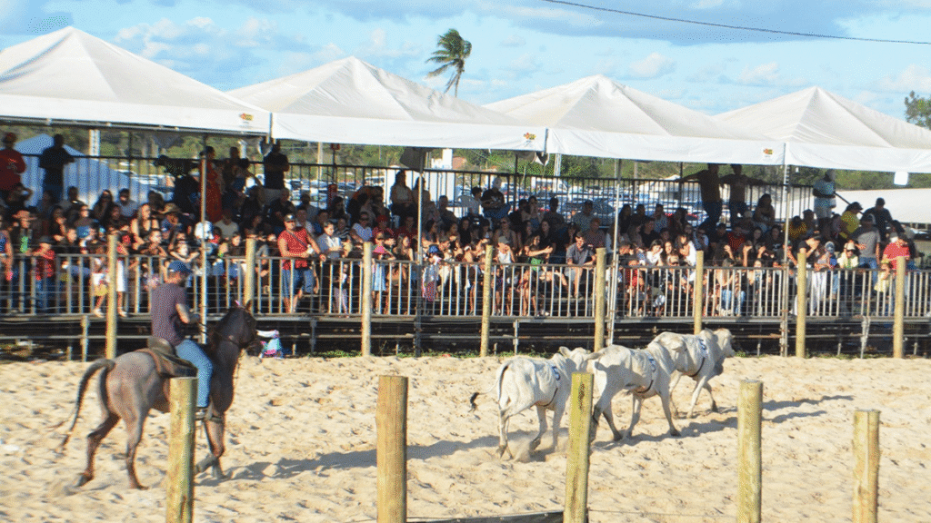 Emoção marcou finais do Campeonato Baiano e etapa feirense de Team Penning 2025 3 Emoção marcou finais do Campeonato Baiano e etapa feirense de Team Penning 2025 - Foto: Washington Nery