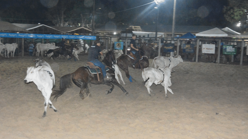 Emoção marcou finais do Campeonato Baiano e etapa feirense de Team Penning 2025 2 Emoção marcou finais do Campeonato Baiano e etapa feirense de Team Penning 2025 - Foto: Washington Nery