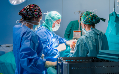 Brasilalcanamarcahistricacommaisde30miltransplantesnoSUSem2024 0300383001760861409