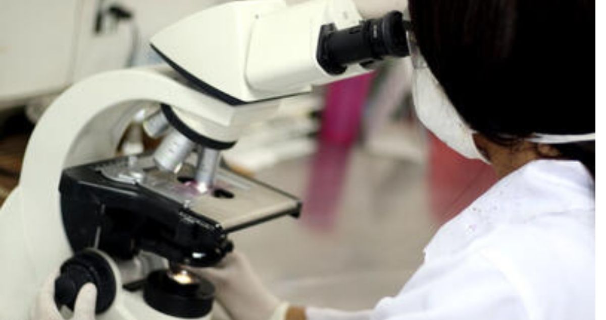 Prova Cruzada Virtual acelera doação de órgãos e diminui rejeição em transplantes no Brasil - Foto: Divulgação/Ministério da Saúde