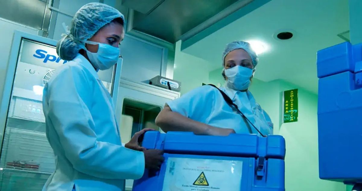 PRODOT: Brasil reforça doação de órgãos com nova política nacional de transplantes