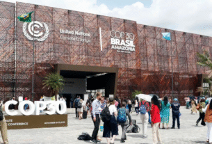 A ideologia quebra forças: a Belém que só a televisão viu 7 www.horadainformacao.com .br 12